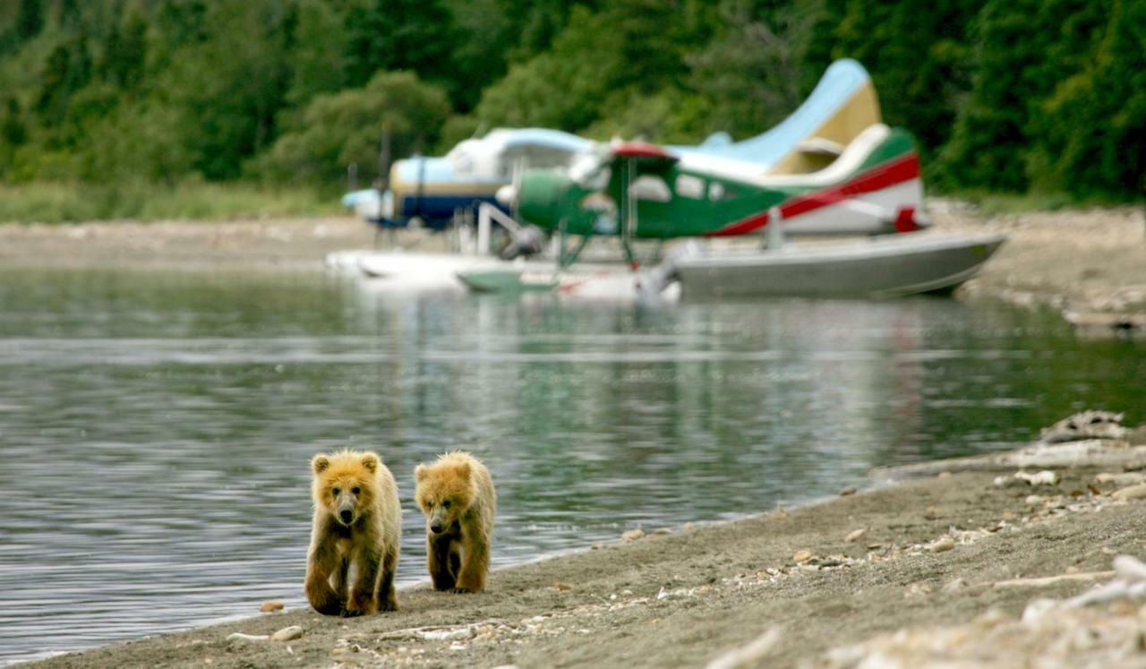 Stillpoint Lodge - All-Inclusive Halibut Cove Экстерьер фото